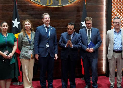 EU EOM Timor-Leste 2022 Chief Observer.