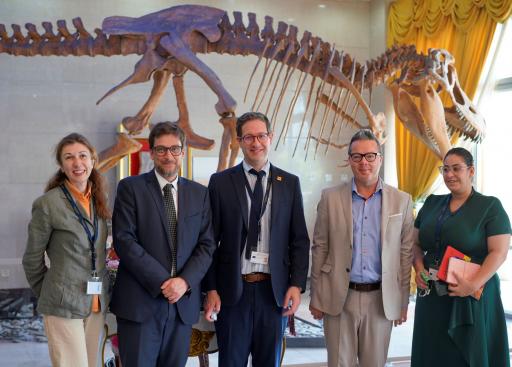 EU EOM Timor-Leste 2022 Chief Observer.