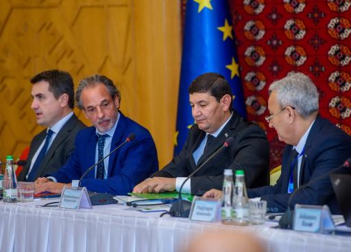 Participants of the Joint EU-Turkmenistan Energy Conference 