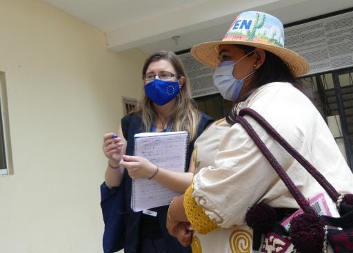 Long-term observers of the EOM EU Venezuela 2021