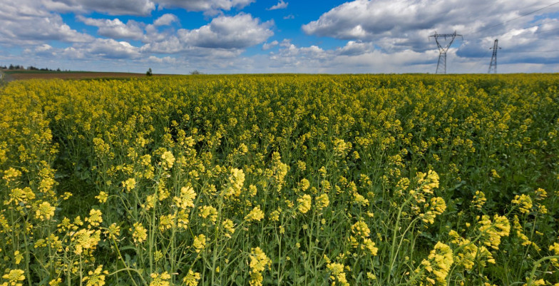 European Union, 2025