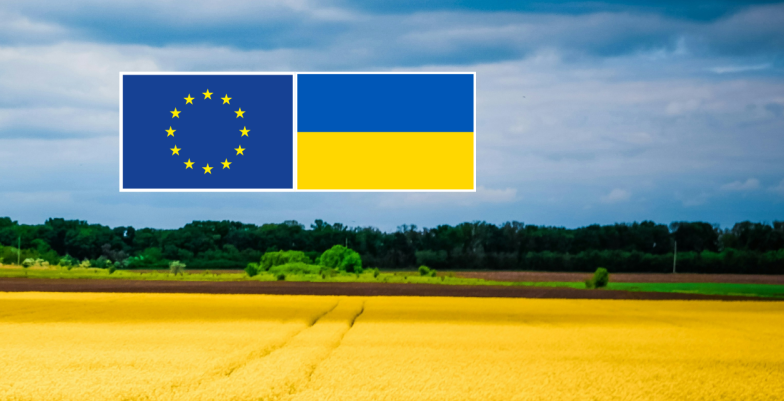 Four Years of War in Ukraine web banner