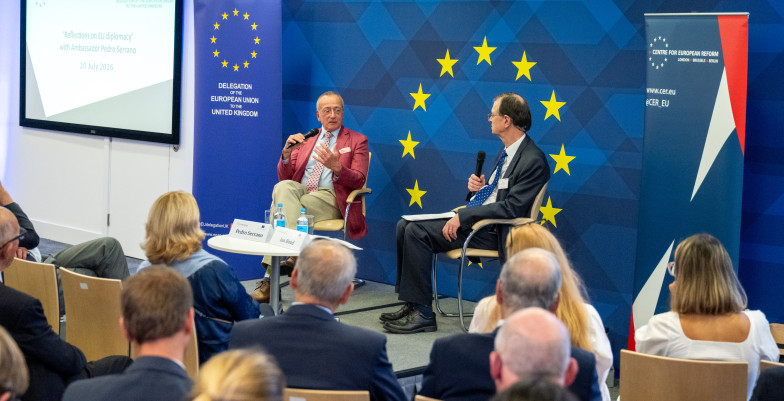 EU Delegation fireside 
