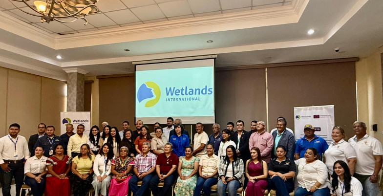 Wetlands evento de cierre de proyecto