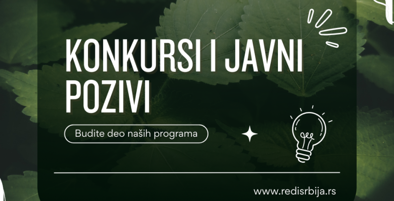 Visual for REDI Serbia with the text: Konkursi i Javni pozivi