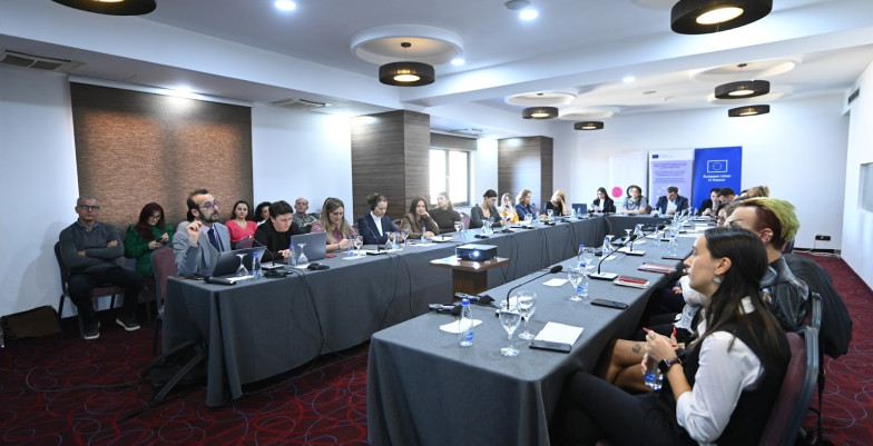  Bias at the Doorstep Unveiling Discrimination Through Labour Market Situation Testing 