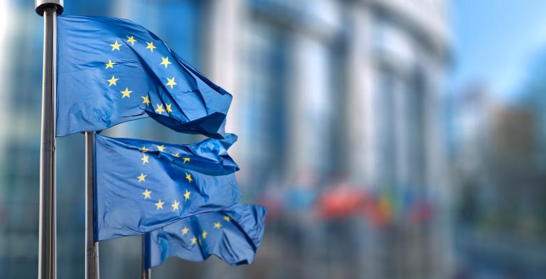 Picture of EU flags in the wind