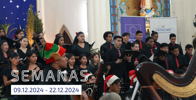 Semanas 09.12.24 - 22.12.24.png