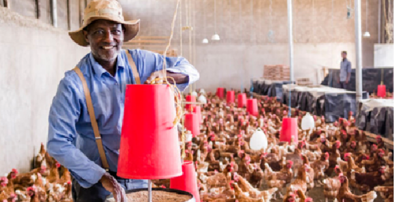 Supporting access to finance for small agricultural entrepreneurs in Ethiopia