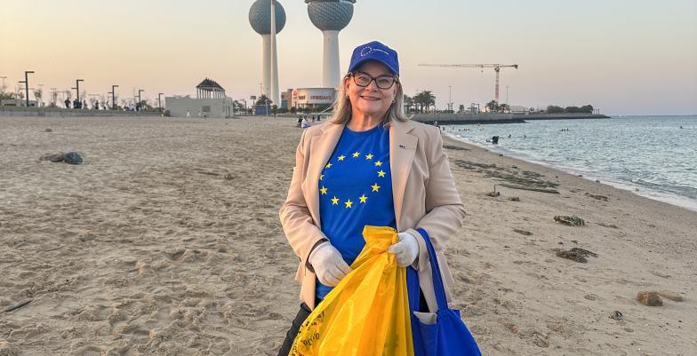EU Ambassador Anne Koistinen
