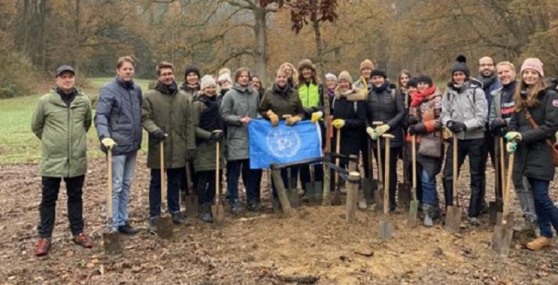 Tree planting in Belgium