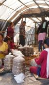 Janaekata Community Forest Users Group (CFUG) economically deprived members diversifying their source of income through mushroom farming.