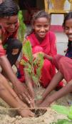 Students of Shree Shivashakti Namuna Secondary School participating in tree plantation program during World Environment Day 2022