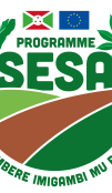 SESA PROGRAM