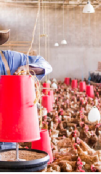 Supporting access to finance for small agricultural entrepreneurs in Ethiopia
