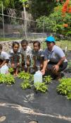 People planting crops as part of the GCCA+ SUPA project. 