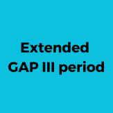GAP III 7