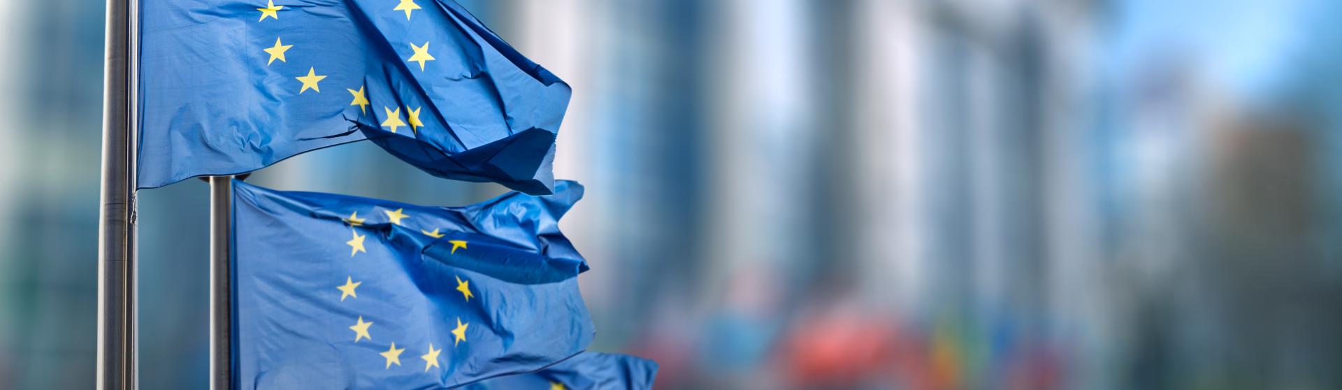 Picture of EU flags in the wind