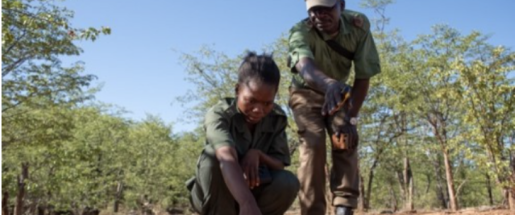 SWM Zimbabwe