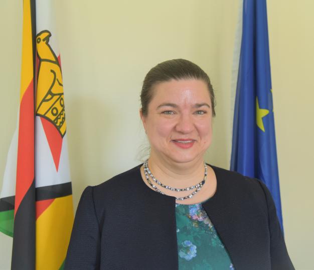 Katrin Hagemann - EU Zimbabwe