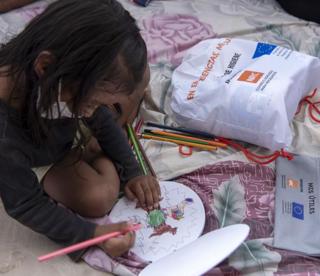 Education in Emergency is a key priority for EU/ECHO in Colombia and represents close to 10% of its humanitarian budget. 