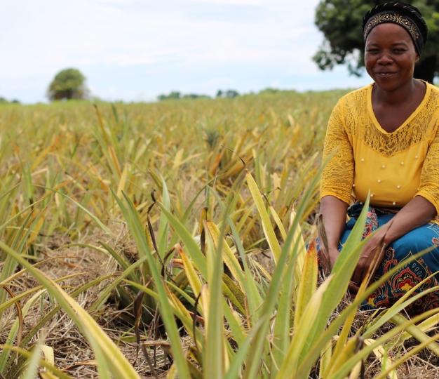 Through Farmer Field Schools under Kulima Programme, EU is promoting improved ecosystem practices through conservation agriculture.