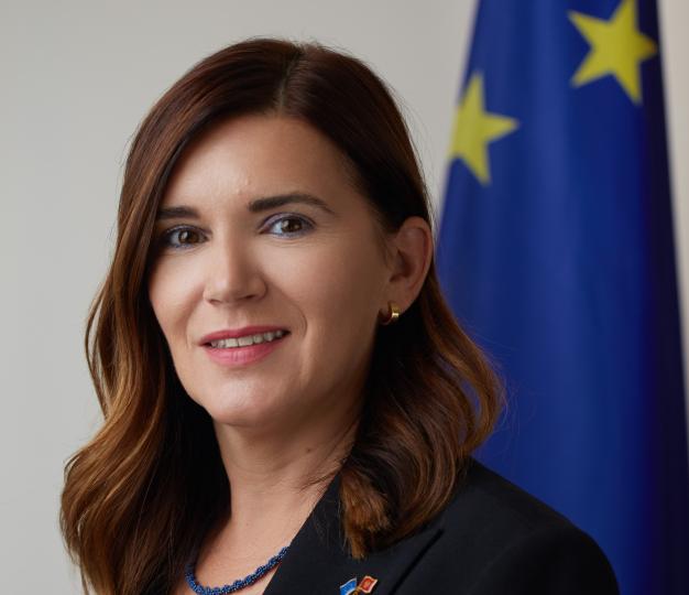 EU Ambassador to Montenegro Oana Cristina Popa standing next to the EU flag
