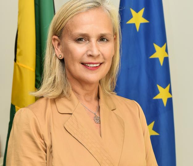 Photo of Her Excellency Marianne Van Steen, Ambassador of the European Union to Jamaica.