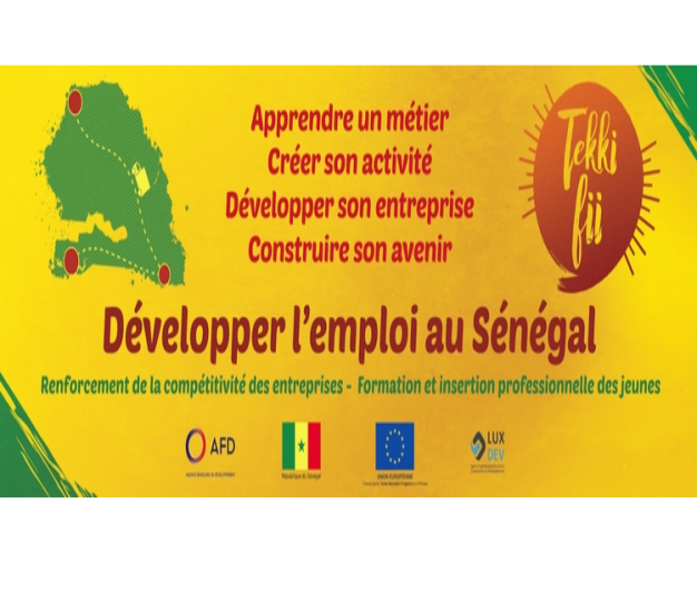 "Developing employment in Senegal - Tekki fii" program