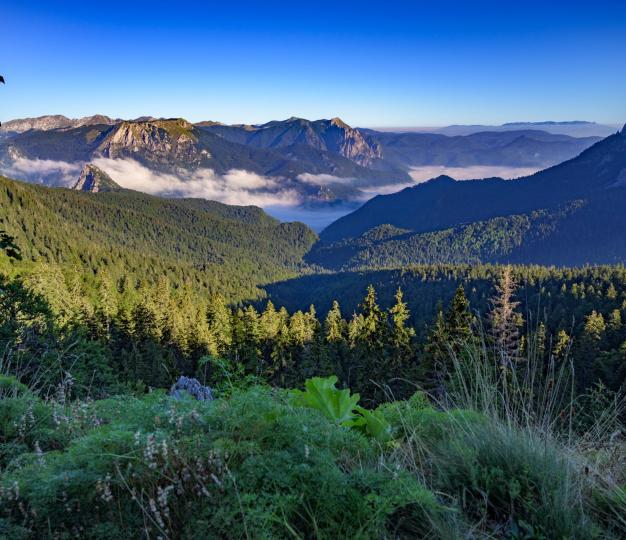 Cross-border area on Maglić Mountain 