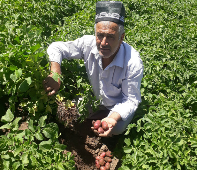 Men of Tajikistan in a farmland