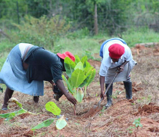 Beneficiaries of EU support to the High Value Crop and Horticulture Project (HVCHP).