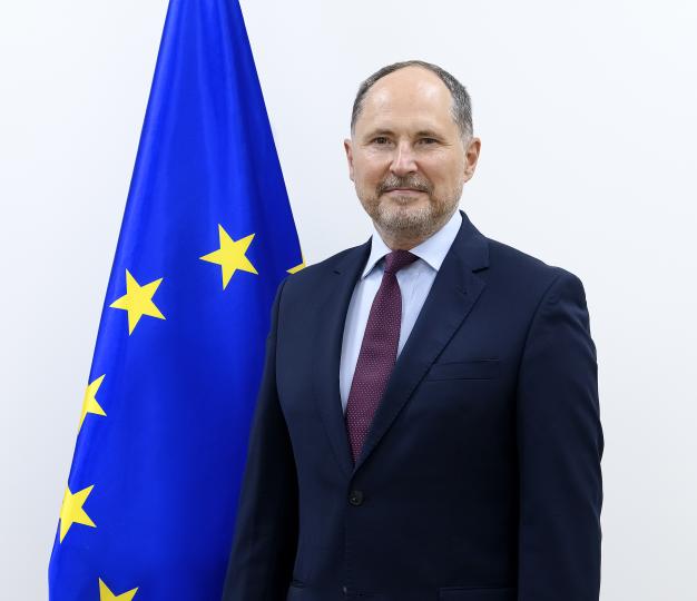 Ambassador Herczynski with EU flag