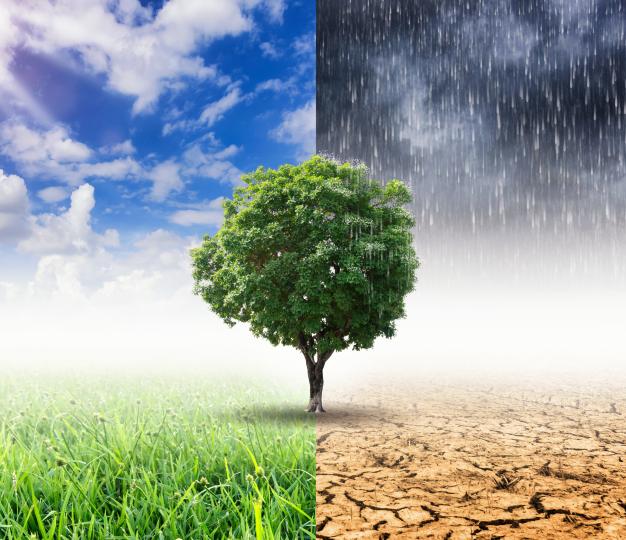 ©Shutterstock/Climate change
