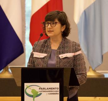 INTER PARES inducción Asamblea