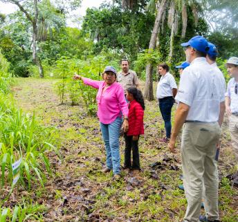 Visita campo Proyecto Agroinnova